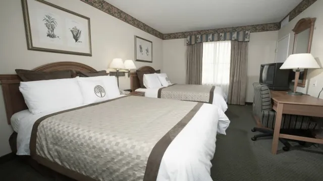 Sabi River Sun Lifestyle Resort Hazyview photo 1
