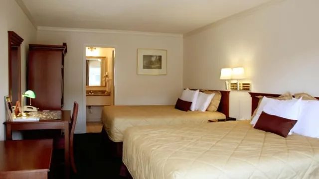 Brooklodge Hotel Macreddin photo 2