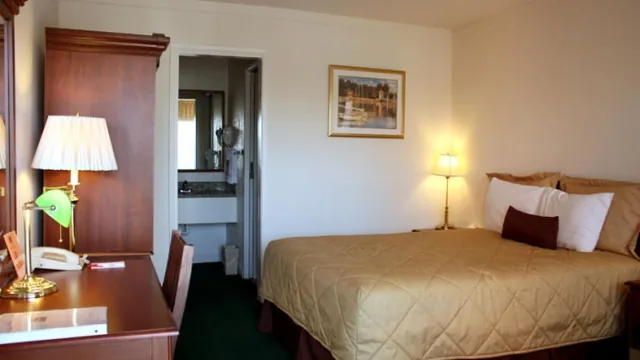 Brooklodge Hotel Macreddin photo 3