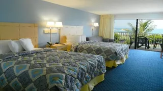 The Brehon