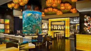 Atlantis Resort Spa Reno