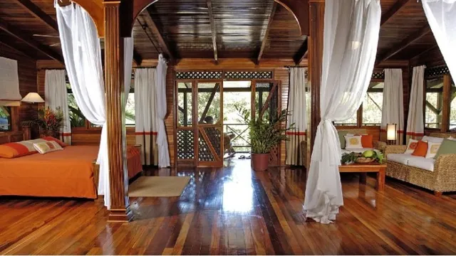 Daintree Wilderness Lodge photo 3