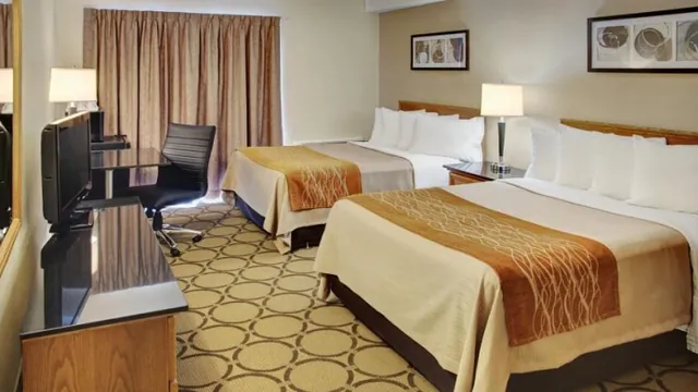 Comfort Inn West Edmonton photo 2
