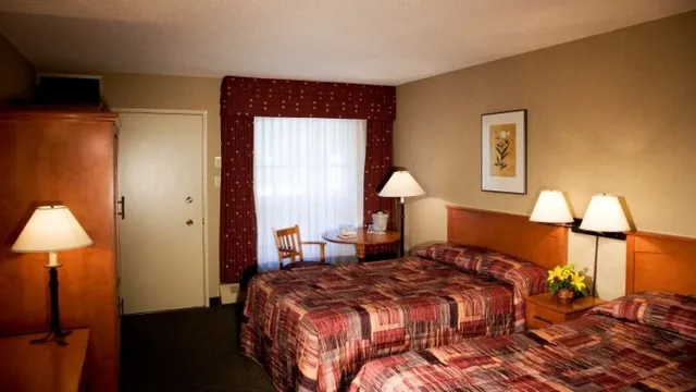 Marmot Lodge Jasper photo 3