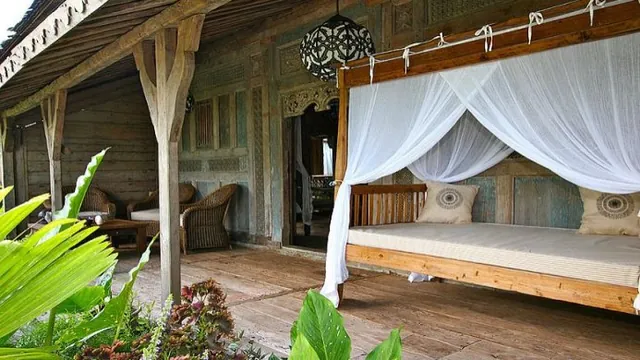 Aore Island Resort Vanuatu photo 2
