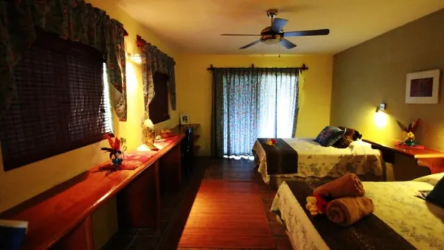 Palms Beach Hotel & Spa Kuwait photo 3