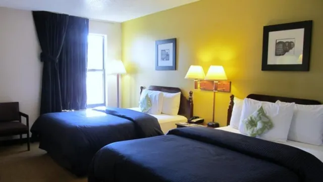 Days Inn Chicago photo 3