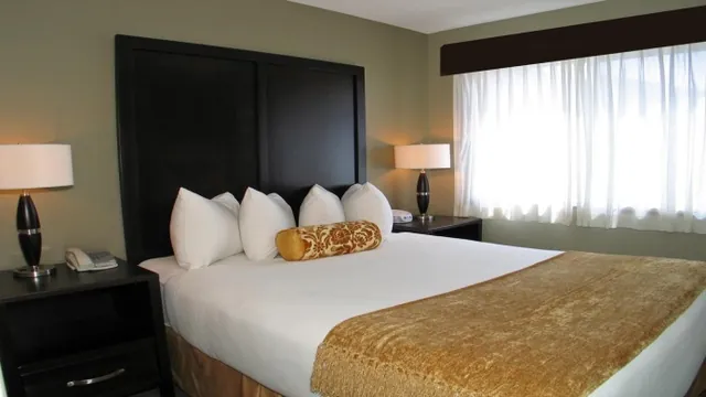 Best Western Plus Fredericksburg Hotel photo 2