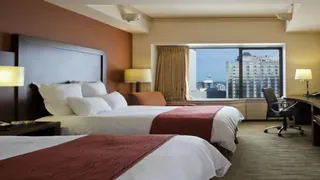 Microtel Inn & Suites by Wyndham Red Deer