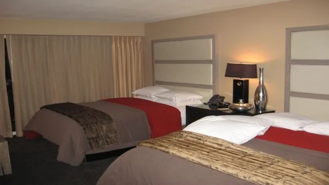 Zoso Hotel Palm Springs photo 1
