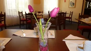 Tulip Inn Thueringerhof Vienna
