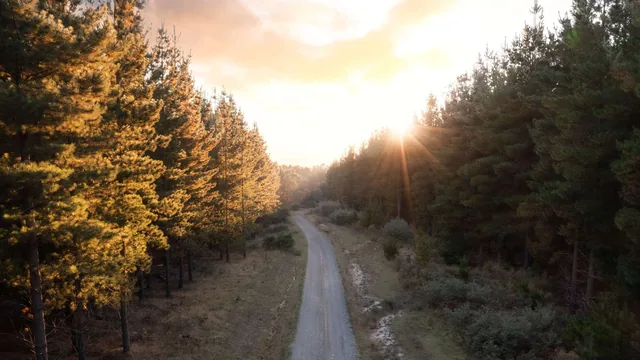 The Sebel Creswick Forest Resort photo 3