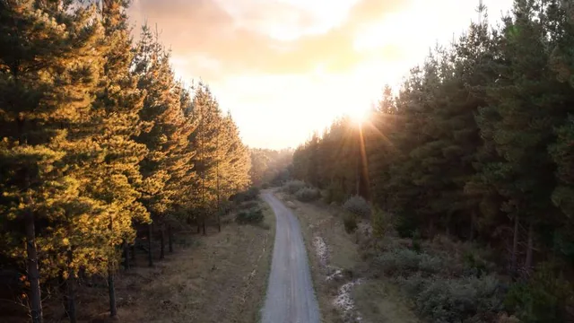 The Sebel Creswick Forest Resort photo 8
