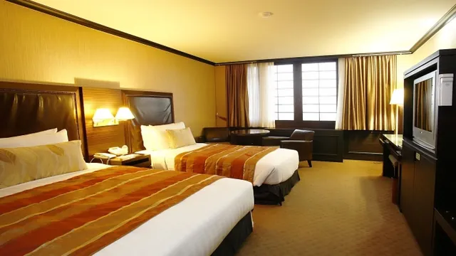 Super 8 by Wyndham Clearwater/St. Petersburg Airport photo 3