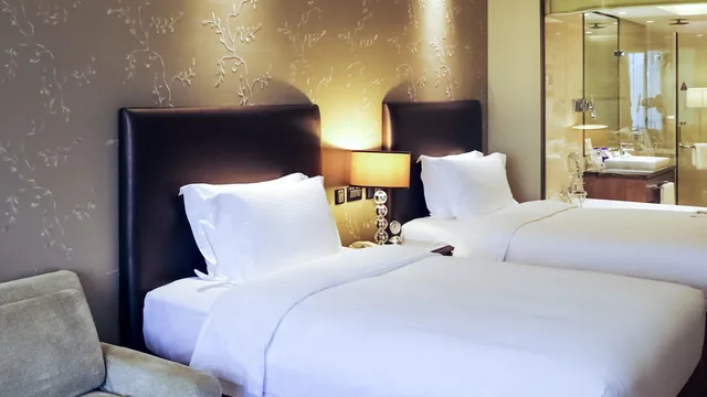 Super 8 by Wyndham Denver Central photo 3