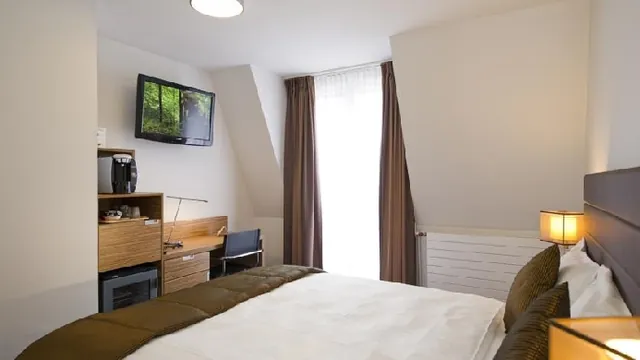 Ibis Rambouillet photo 4