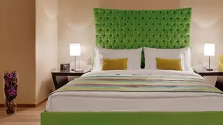 Ibis Arles