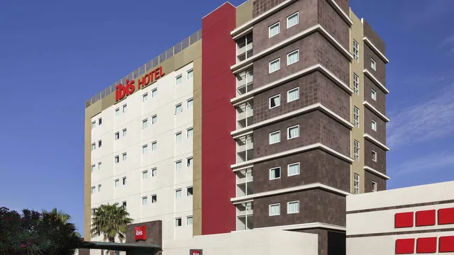 Ibis Chihuahua photo 7