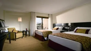 Super 8 by Wyndham Sealy