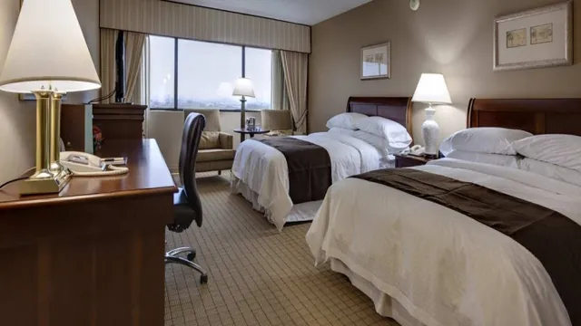 Super 8 by Wyndham Stettler photo 2