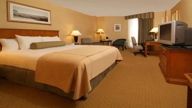 Super 8 by Wyndham Stettler photo 3
