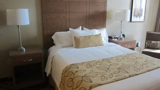 Delta Chelsea Hotel Toronto photo 3