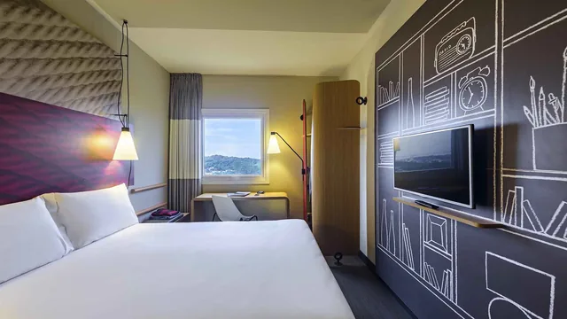 Ibis Guaiba photo 2