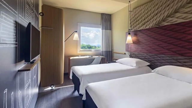 Ibis Guaiba photo 3