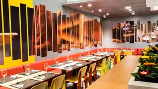 Ibis Copiapo