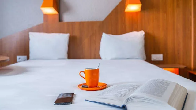 Ibis Styles Gien photo 6