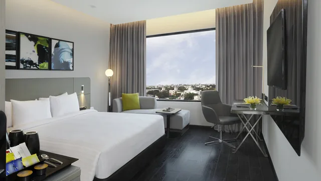 Novotel Chennai Chamiers Road photo 8