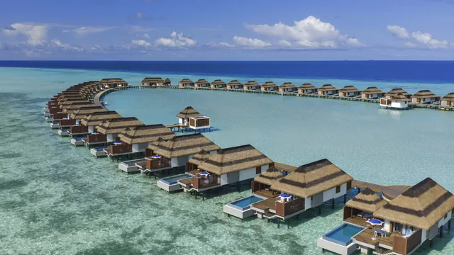 Pullman Maldives All-Inclusive Resort photo 4