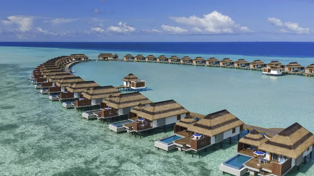 Pullman Maldives All-Inclusive Resort photo 5