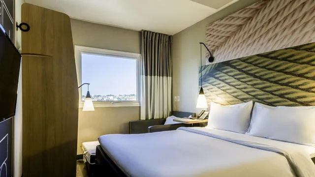 Ibis Americana photo 5
