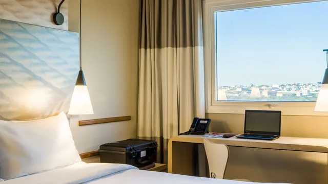 Ibis Americana photo 8
