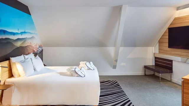 Novotel Suites Colmar Centre photo 6
