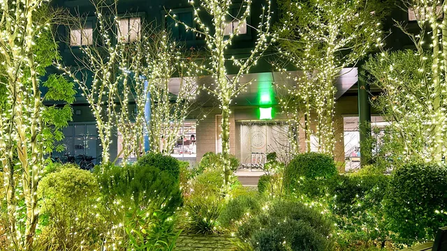 Ibis Styles Tokyo Bay photo 10