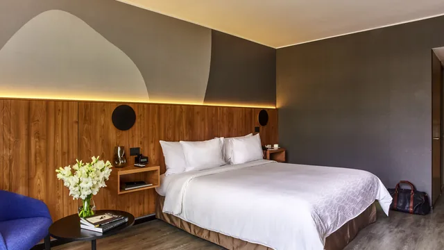 Pullman Lima San Isidro photo 8