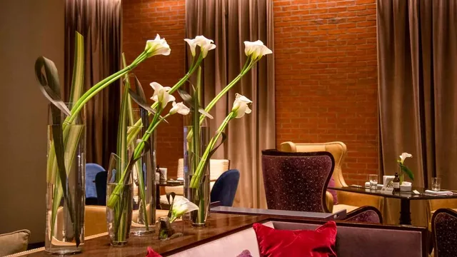 Faena Hotel Buenos Aires photo 5