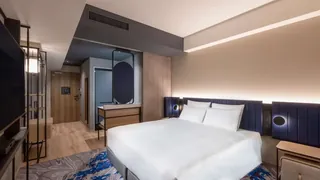 Novotel Nara
