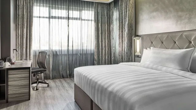 Novotel Singapore on Kitchener photo 8
