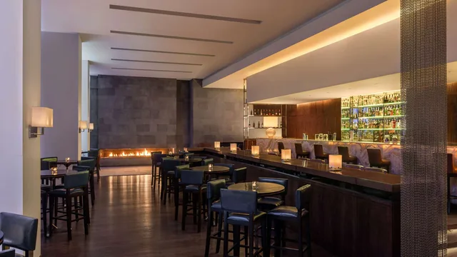 Sofitel Cairo Downtown Nile photo 10