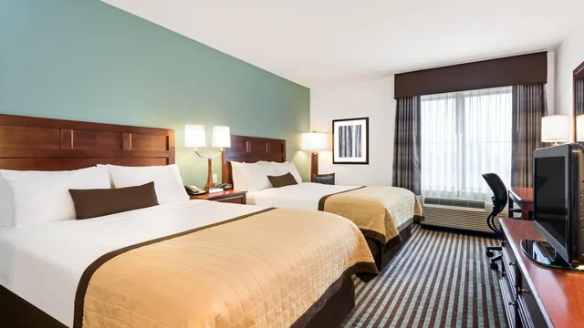 Baymont by Wyndham Denver International Airport photo 10