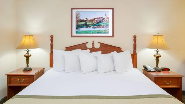Baymont by Wyndham Ozark photo 8