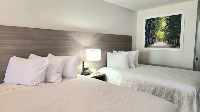 Days Inn by Wyndham San Marcos photo 12