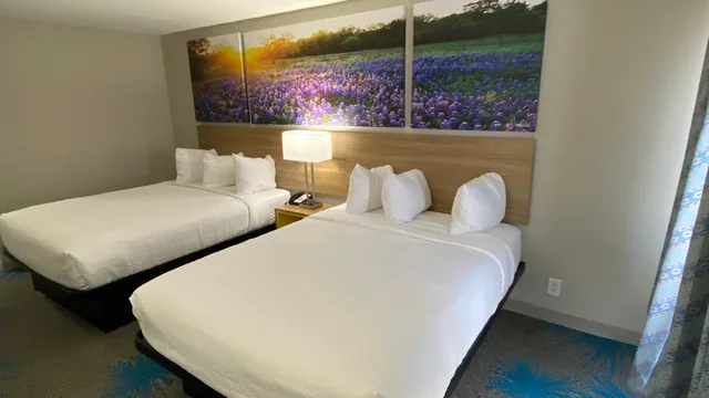 Days Inn by Wyndham Waco University Area photo 3
