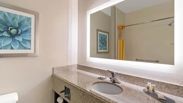 La Quinta Inn & Suites by Wyndham Phoenix I-10 West photo 6