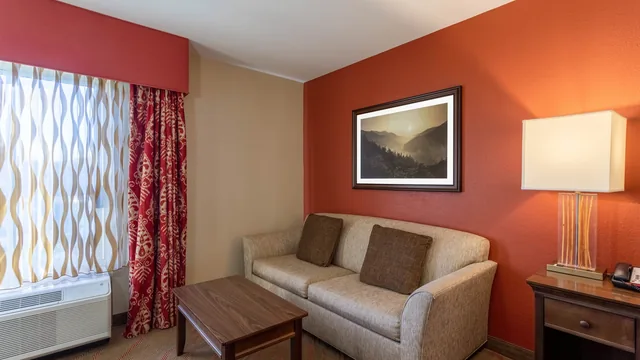 La Quinta Inn & Suites by Wyndham Pigeon Forge photo 11