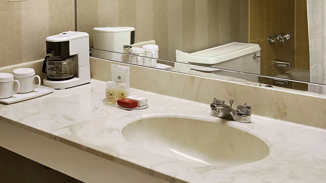 Ramada by Wyndham Augusta Downtown Hotel & Conference Center photo 5