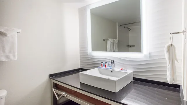 Ramada by Wyndham Austin South photo 11